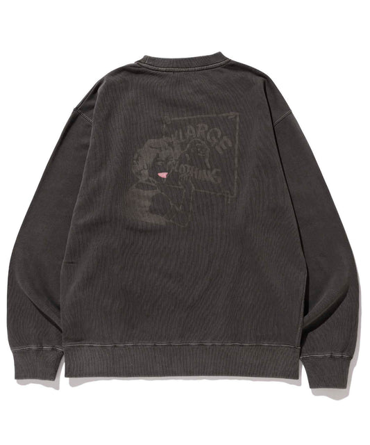 SMOOTH PAINTER PIGMENT CREWNECK SWEAT