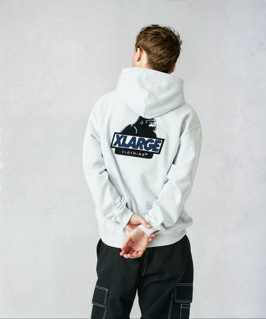 CHENILLE SLANTED OG PULLOVER HOODED SWEATSHIRT