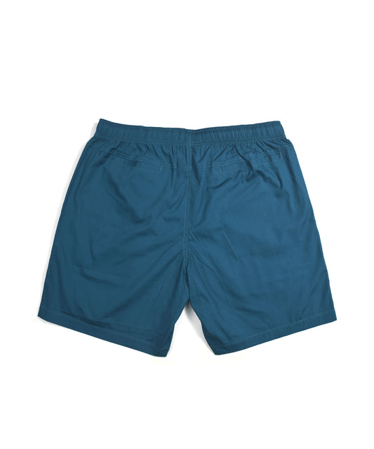 XLARGE CHROME SCRIPT BEACH SHORTS