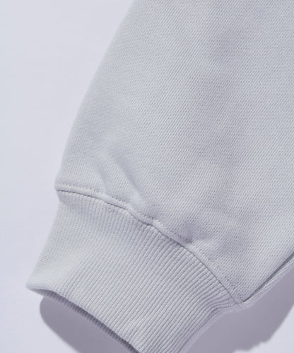 STANDARD LOGO PULLOVER HOODED SWEATSHIRT