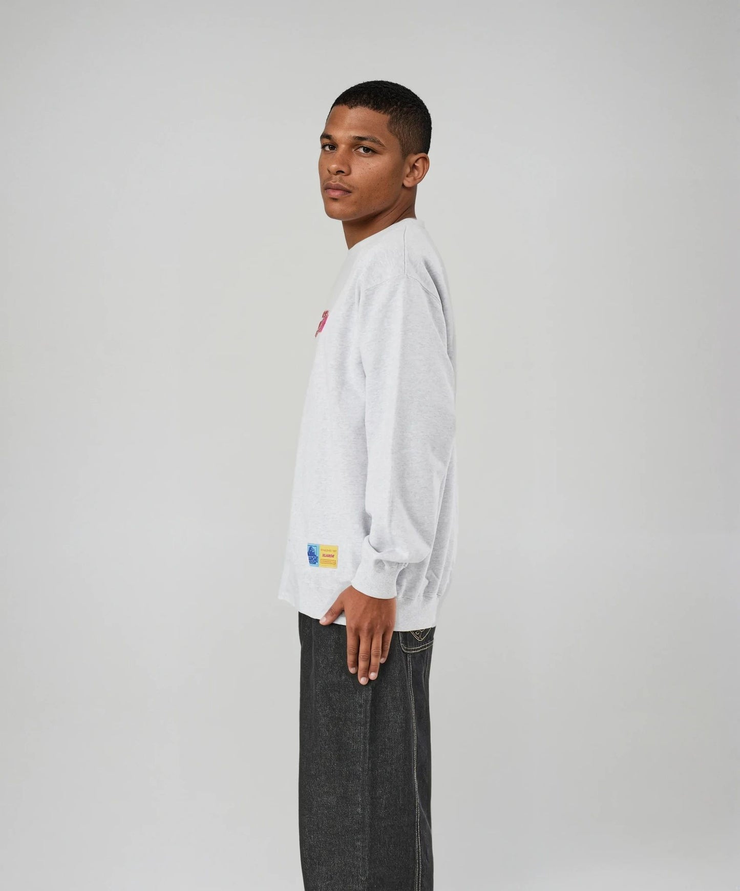 STANDARD LOGO COLORS CREWNECK SWEATSHIRT