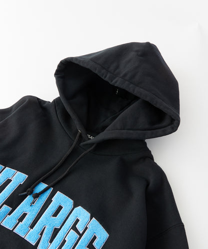 CHENILLE LOGO HOODED SWEATSHIRT