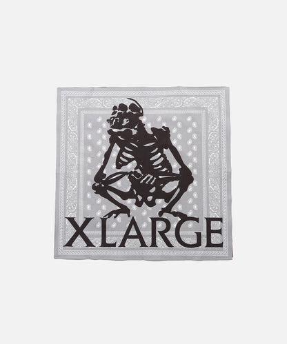 PAISLEY BANDANA