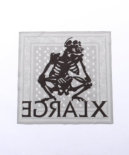 PAISLEY BANDANA